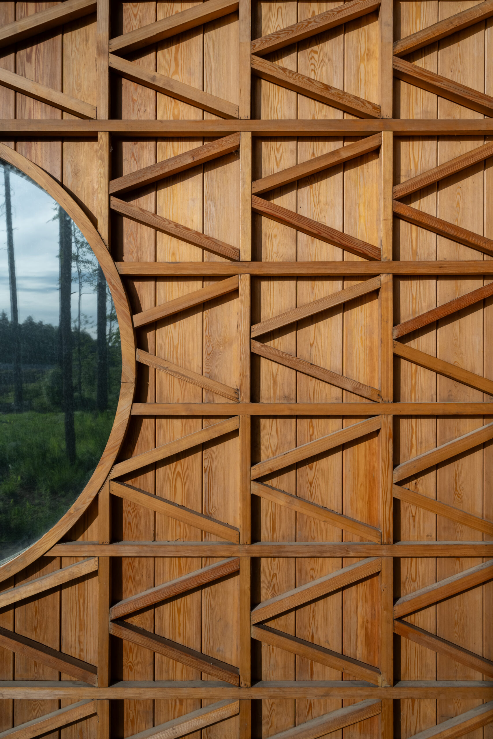 Томилинский лесопарк