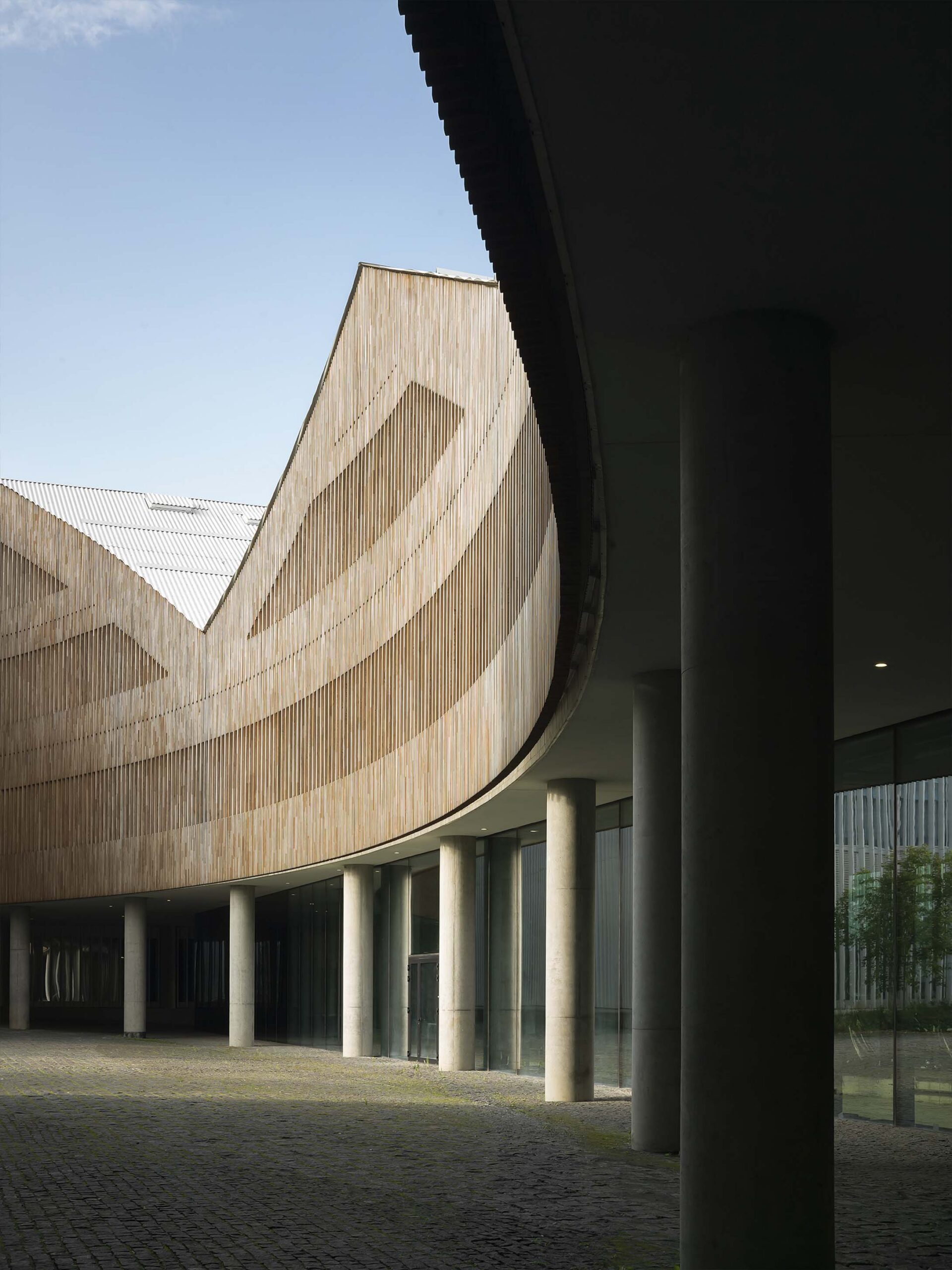 Дмитрий Чебаненко