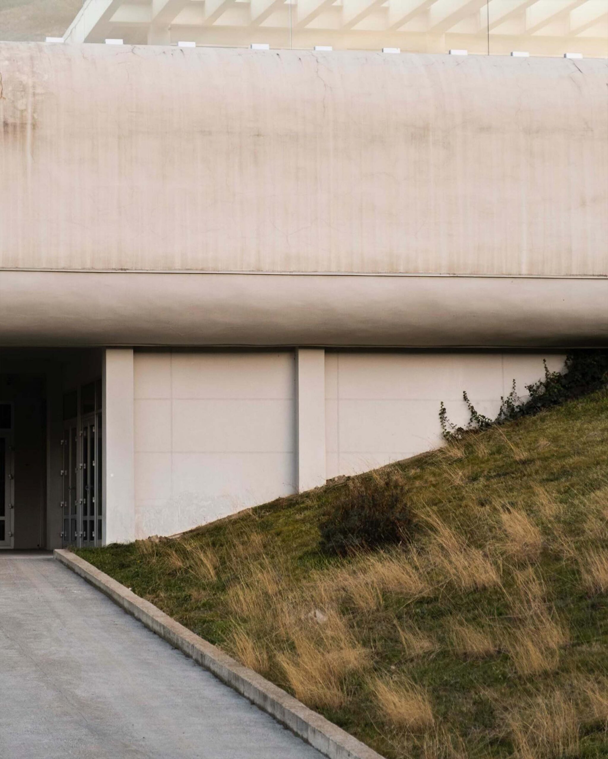 Диана Вешкурцева