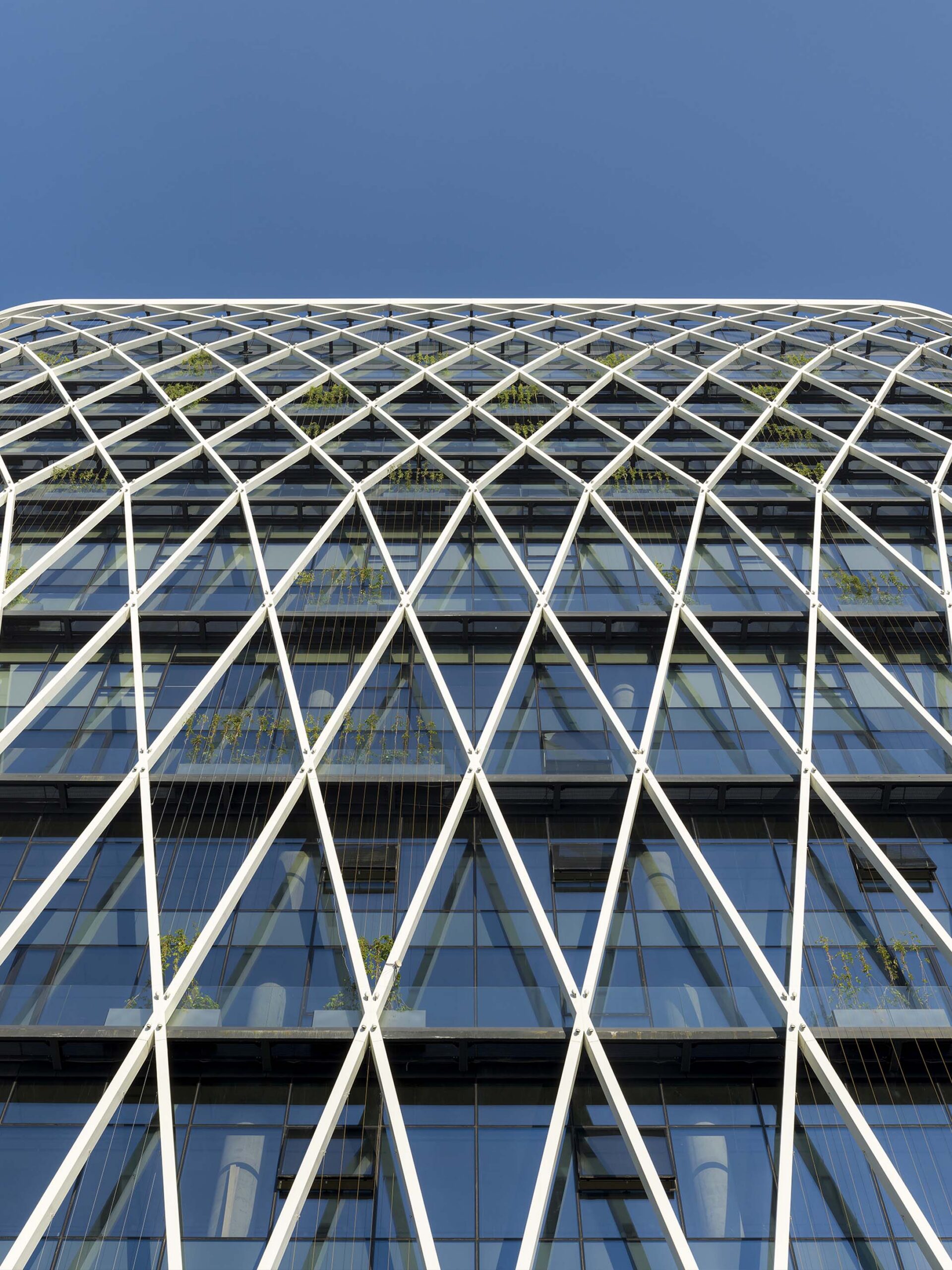 Дмитрий Чебаненко