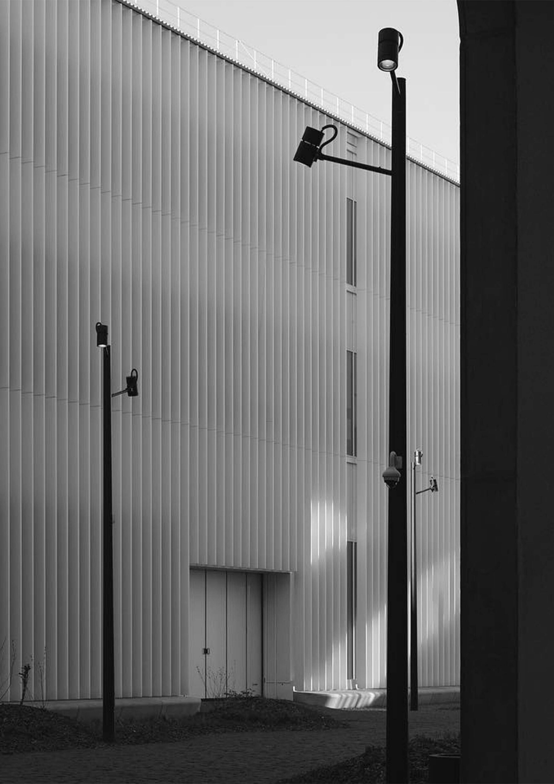 Диана Вешкурцева